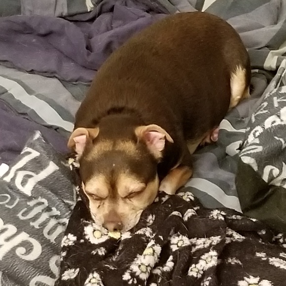 Meet your Posher, Jason - Picture 2 of 4